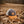Storybook Scout Cap