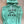 Teal SP Hoodie