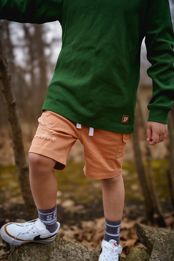 Mud Pie Distressed shorts