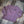 Lavender Hippo Dreams Long Sleeve