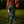 Pine Hare Pants