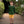 Moss Boss Ribbed Long Sleeve