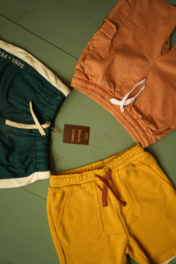 Mud Pie Distressed shorts