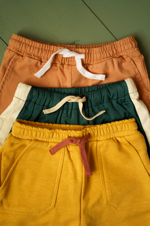 Mud Pie Distressed shorts