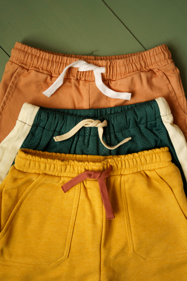 Mud Pie Distressed shorts