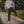 Summit Trek Pants