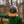 Storybook Scout Cap