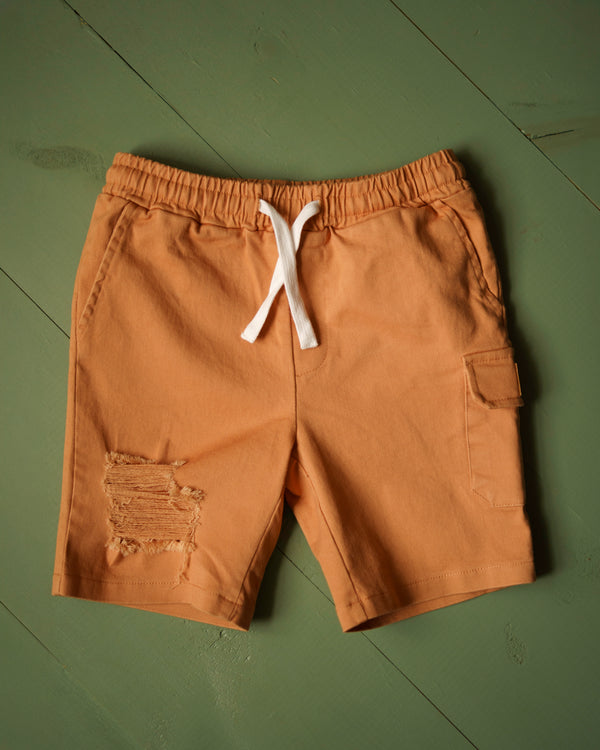 Mud Pie Distressed shorts