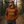 Fall SP Hoodie PREORDER