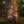 Harvest Trail Henley