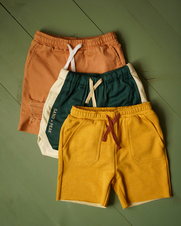 Mud Pie Distressed shorts