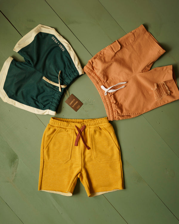Mud Pie Distressed shorts