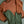 Pine Hare Pants