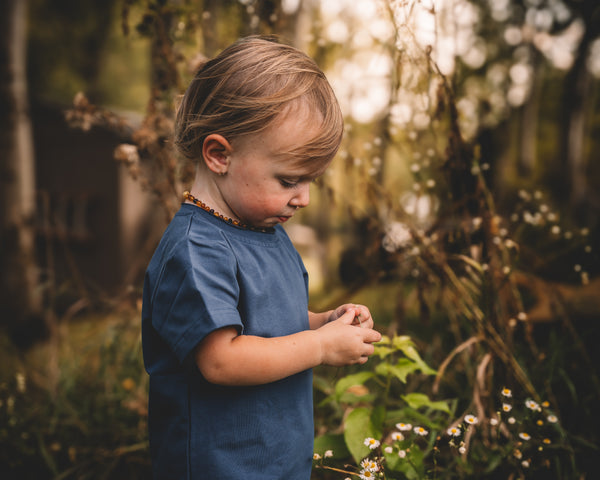 Fall/winter Tees 3-Pack