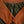 Pine Hare Pants