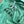 Teal SP Hoodie