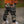 Camo pants