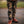 Camo pants