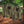 Mosswood Flannel