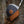 Storybook Scout Cap