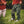 Summit Cargo Joggers