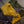 Leaf Litter Long Sleeve 3-Pack